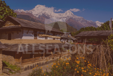 Langtang  Valley via Tilman Pass 